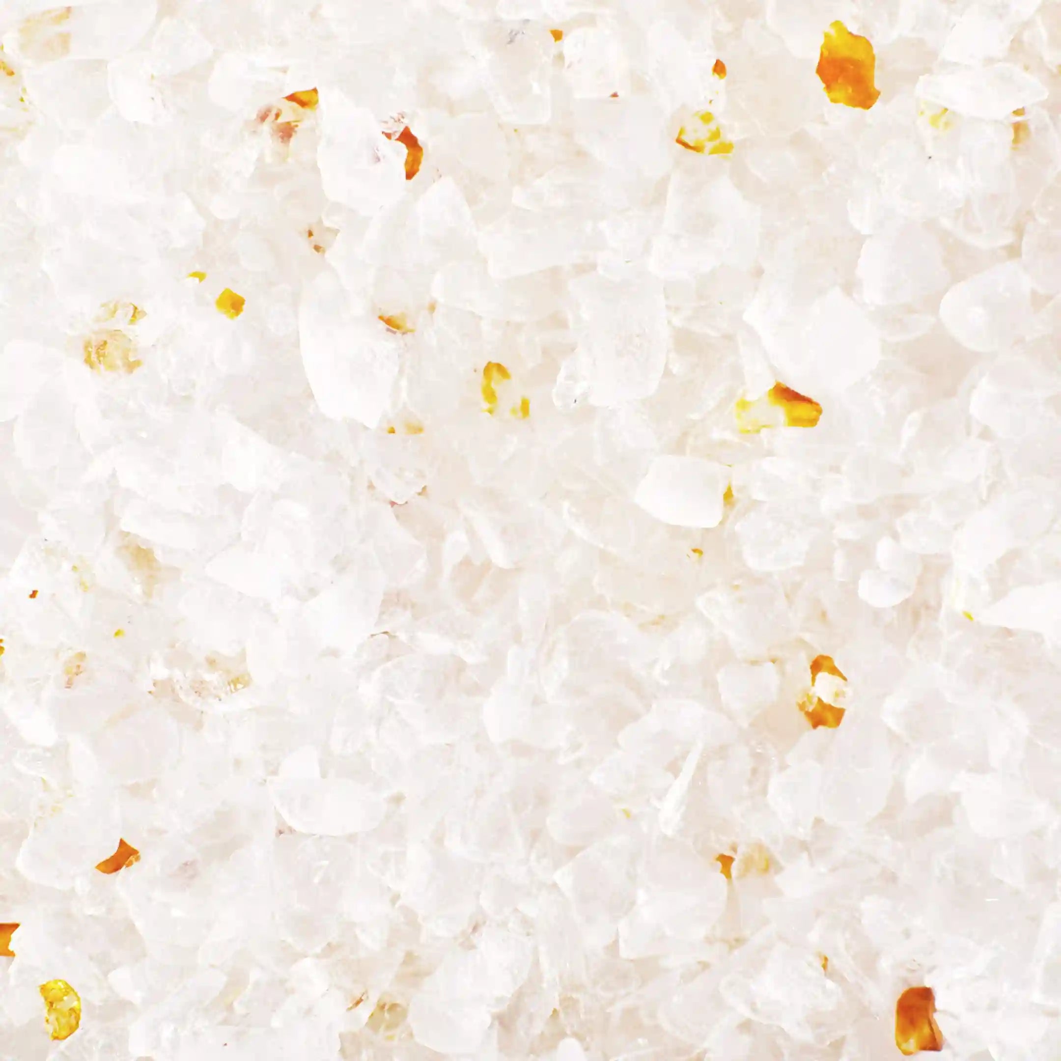  prettylittercare.com